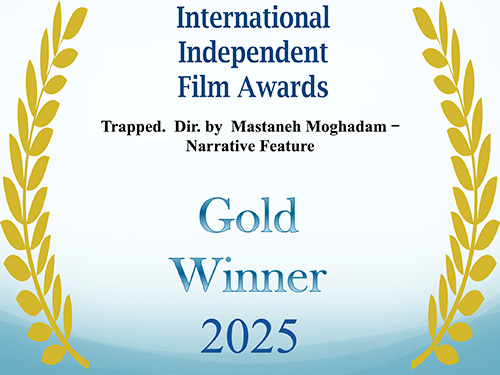 Best Narrative Feature - GOLD